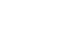 BLA international